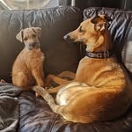 Teddy & Floyd - @bigfloyd2023 - Instagram