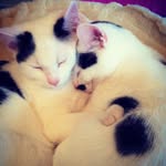 Teddy and Floyd - @teddyandfloyd - Instagram