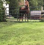 Teddy Floyd - Facebook