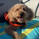 teddy floyd - @teddybearfloyd - Instagram