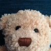 teddy foley - @dontobeyme - TikTok