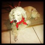 Teddy Ford - @teddygotjuice - Instagram