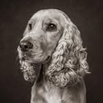 Teddy Ford - @the_tales_of_teddy - Instagram