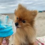 Teddy Fowler - @teddy_fowler3 - Instagram
