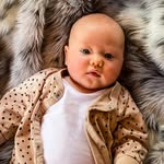 Teddy Fox - @teddy.does - Instagram