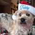 Teddy Fox - Facebook