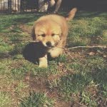 Theodore [Teddy] Frederick - @theodorefrederick - Instagram