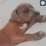 teddy freeman - @teddyfreeman1 - Instagram