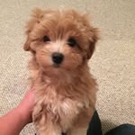 Teddy Gage - @teddy_gage - Instagram