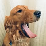 Teddy Phineas Gage - @teddy.gage - Instagram