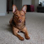 Teddy Gaines - Facebook