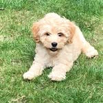 Teddy Gallagher - @x_teddyy - Instagram