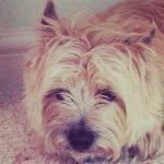 Teddy - @teddygallagher1 - Instagram