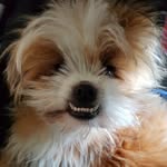 TeddyG - @teddy_gallagher19 - Instagram