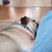 Ted Gardner - Facebook