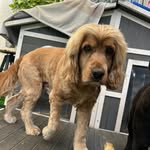 Teddy Chamberlain - @teddy_of_gardner - Instagram