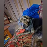 Teddy Gardner - @tedmgardner - Instagram