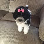 Teddy Gardner - @quilt1045 - Instagram