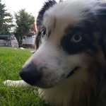 Teddy Gardner - @teddy.gardner - Instagram