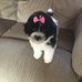 Teddy Gardner - Facebook