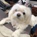 Ted Garner - Facebook