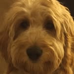 Theodore Buzz Garner - @teddy.buzz - Instagram