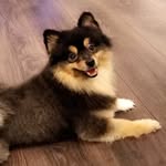 Teddy - @_teddygeiger_ - Instagram