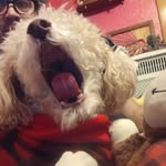 Teddy A. Germain - @germain5813 - Instagram