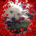 Teddy Gibson - Facebook