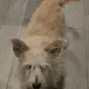 Teddy Gibson - @teddygibson58 - TikTok