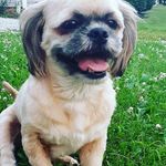 Teddy Gibson - @teddy_gibson5 - Instagram