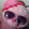 teddy gilbert - @teddy_cant.love.this - TikTok