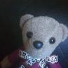 Teddy Toy - @teddy_gilbert3 - TikTok
