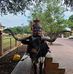 Teddy Gill - Facebook
