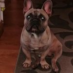 @teddy_gill_ - Instagram