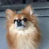 Teddy - @teddygill - TikTok