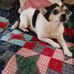 Teddy Gilmore - Facebook
