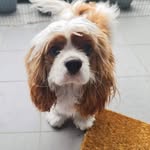 Teddy Goldsmith - @the.teddy.chronicles - Instagram