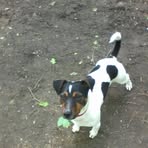 Teddy Goldsmith - Facebook