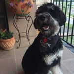 Teddy Goodman - @iamteddygoodman - Instagram