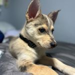 Teddy - @mr.teddygoodman - Instagram