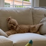 Teddy Goodwin - @teddy._.goodwin12 - Instagram