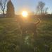 Teddy Goodwin - Facebook