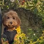 Teddy Goodwin - @master_teddy_g - Instagram