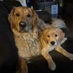 Teddy Goodwin - @ted.e.bear2021 - Instagram