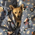 Teddy Graham - @teddstergram - Instagram