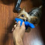Teddy Graham - @imteddygraham - Instagram