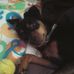Teddy Greer - Facebook