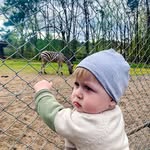 Teddy Gross - @gross_teddy - Instagram
