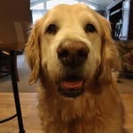 Teddy Grossman - @teddygrossman - Instagram